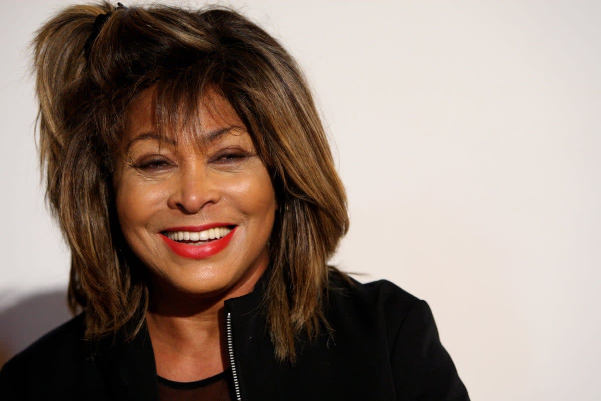 Tina Turner suffered unimaginable heartache when she lost two of her children within recent years  (Getty Images)