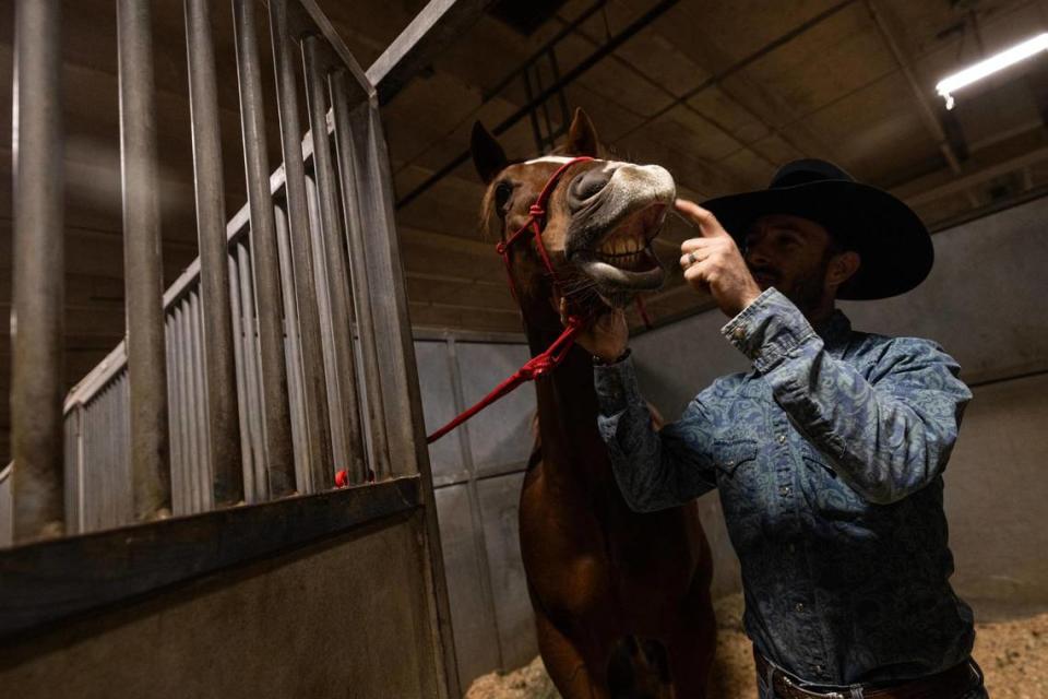 Eliot Holtzman of Versatile Horsemanship takes care of his show horse Cuban over night in their stalls at the Burnett Building in the Fort Worth Stock Show and Rodeo. Holtzman and his wife Catie compete in the ‘Mustang Champions Freestyle’ competition where they impress the judges with tricks and creativity.