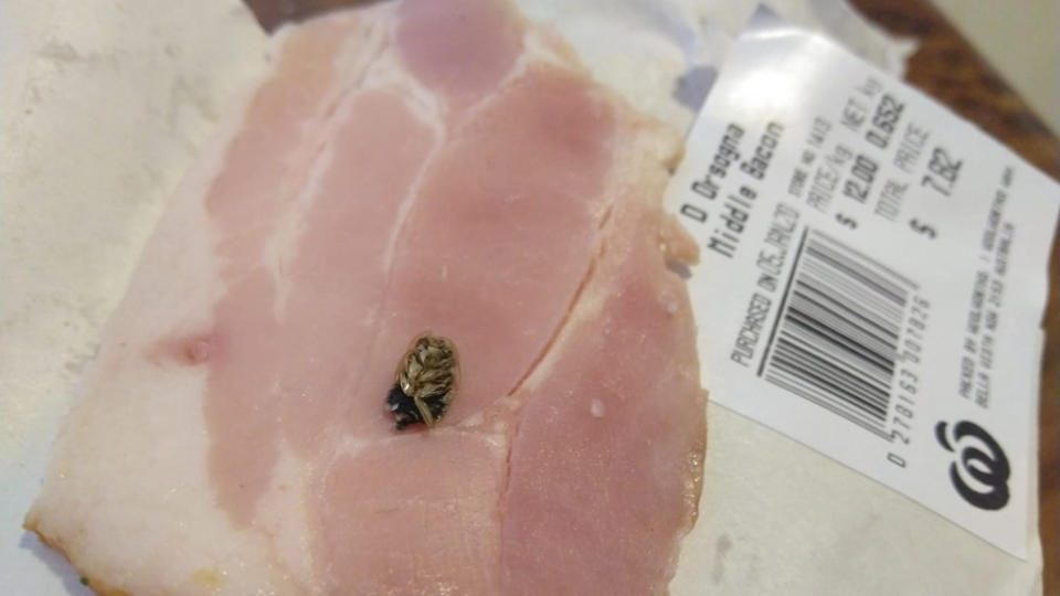 Pictured is what appears to be part of a cockroach on a rasher of Woolworths bacon. 