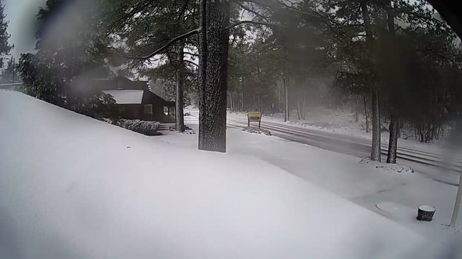 Snow blanketing the Laguna Mountain Lodge at 12:51 p.m. on Jan. 3, 2024. (Courtesy of Laguna Mountain Lodge)