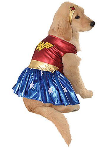 Dog Wonder Woman Costume