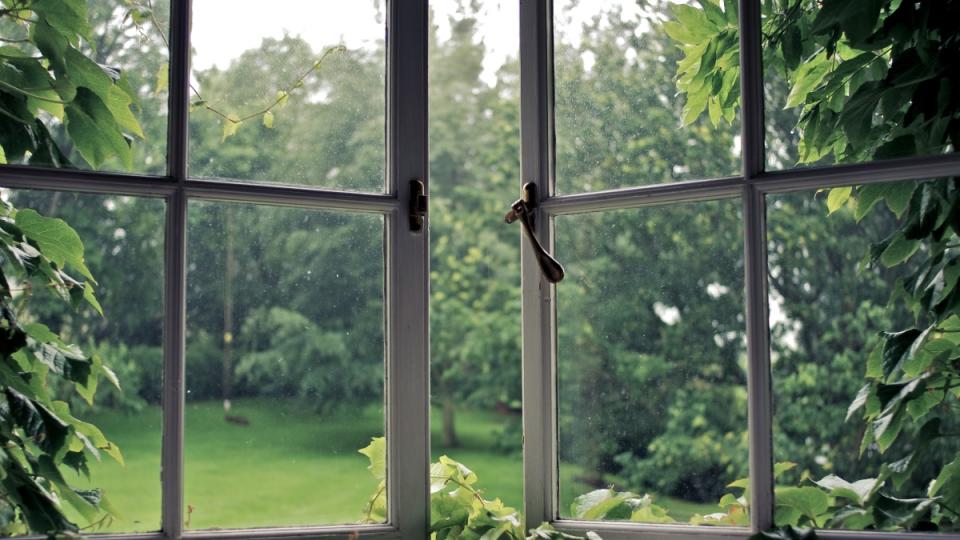 Windows opening up to a green nature view