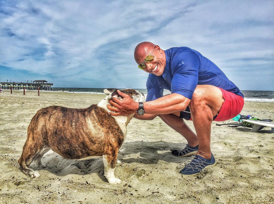 “The Rock” se mostró emocionado con la visita de esta perrita en el set y decidió compartirla en sus redes sociales.