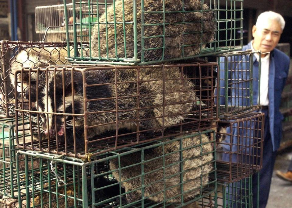 A man looks at caged civet cats in a wildlife market in Guangzhou, capital of south China's Guangdong Province Monday, Jan. 5, 2004.