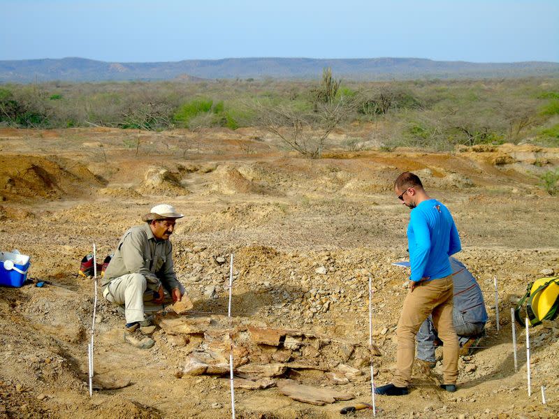 Colombian and Venezuelan paleontologists work together during the excavation of the giant turtle Stupendemys geographicus in northern Venezuela