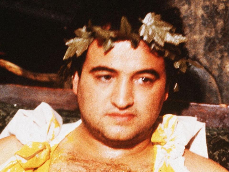 A toga-clad Belushi in ‘National Lampoon’s Animal House’ (Universal/Kobal/Shutterstock)