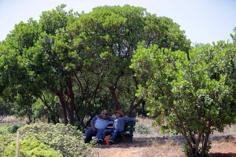 Two Lebanese elderly men relax in the shade under a tree in the forest in the Lebanese capital Beirut on May 21, 2015