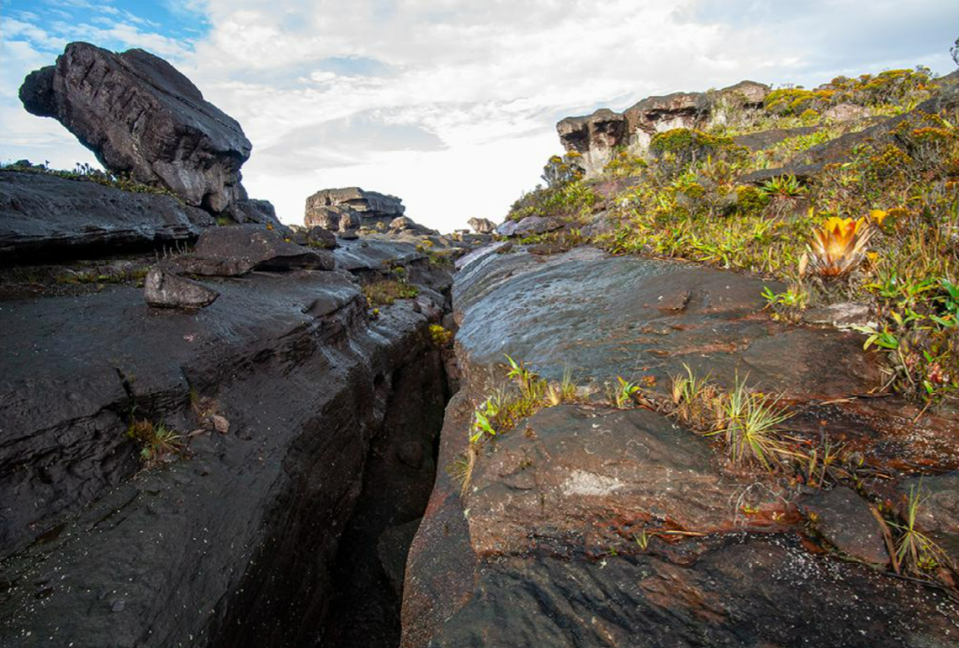 Una grieta rocosa en la cumbre de Murisipán-tepui.