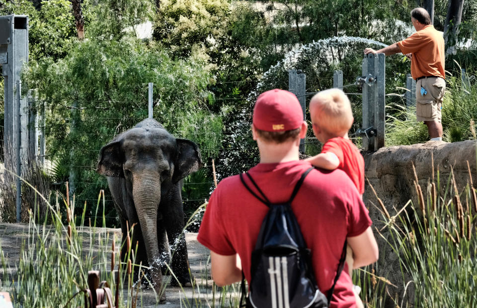 Die besten Tierfotos der Woche (07.07. bis 13.07.)