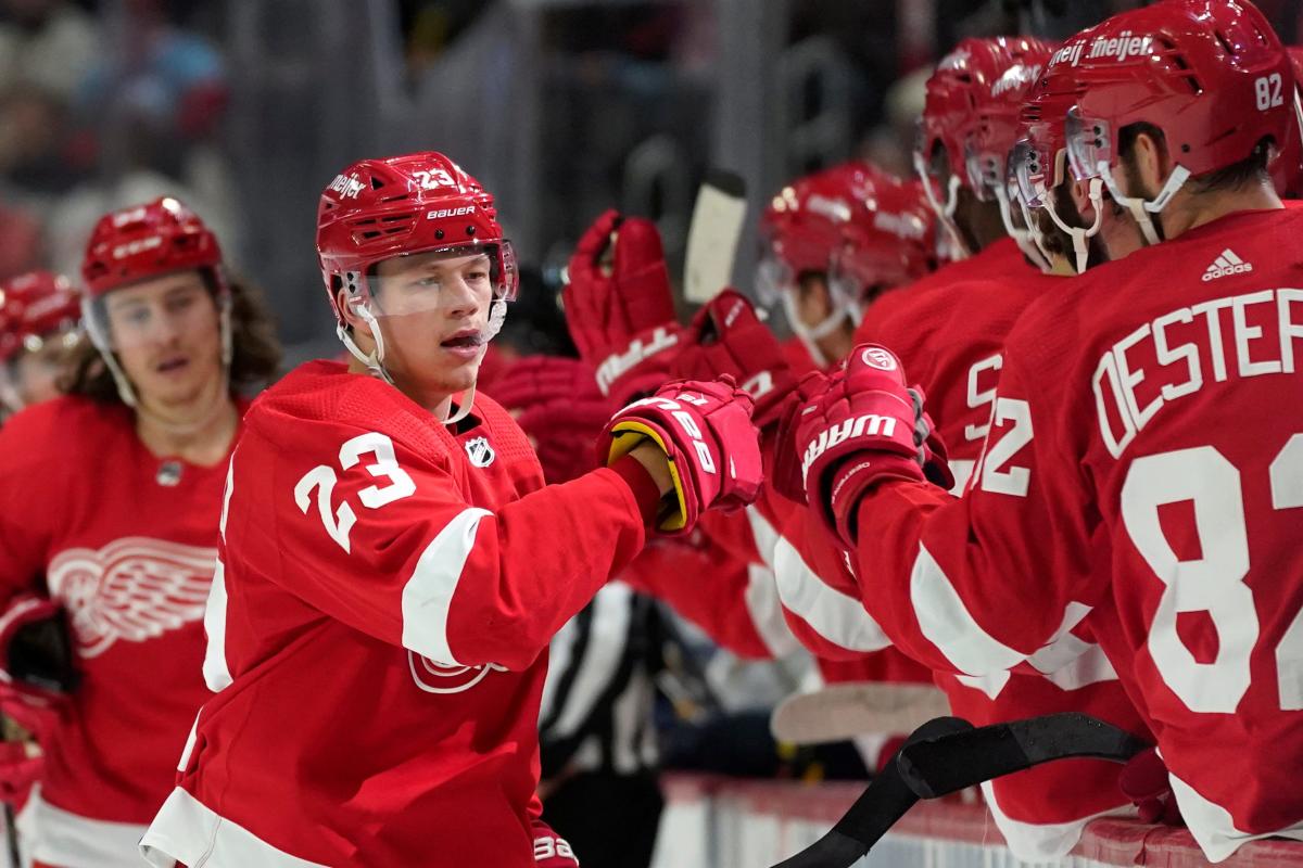 Dylan Larkin of the Detroit Red Wings celebrates with Lucas Raymond News  Photo - Getty Images