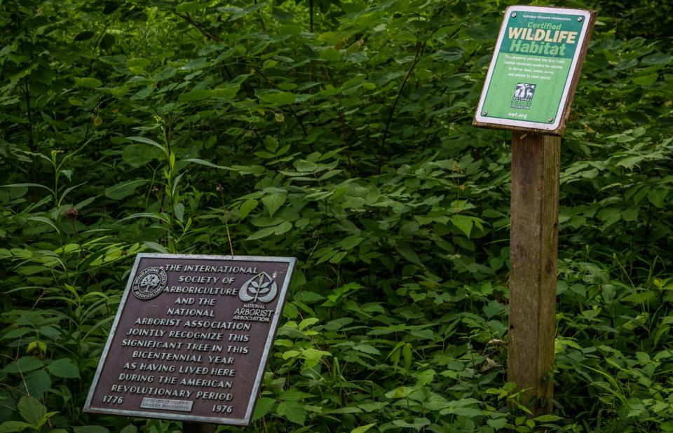 Information about a wildlife habitat and historical marker sit just off the trail Saturday, June 11, 2022, near the Kile Oak in Irvington.