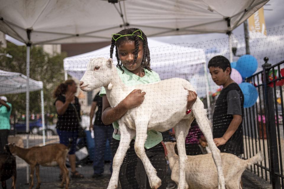 In this Friday, Aug. 16, 2019, photo, a girl carries a goat at the Inner-city Muslim Action Network's (IMAN) farmers market in Chicago in Chicago in Chicago. Atlanta, Chicago and other large cities across the country are taking a multi-pronged approach to bringing healthy diets to "food deserts," mostly low-income neighborhoods located miles away from the nearest supermarket. Their initiatives include fresh-produce stands at mass-transit stations, urban gardens, and partnerships with rideshare companies to ferry residents to grocery stores and farmers markets. The goal is to reduce health disorders and empower low-income communities. (AP Photo/Amr Alfiky)