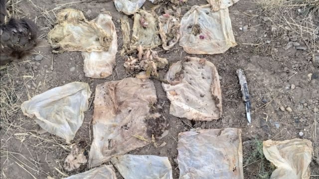 Wipes removed from the stomach of a black bear that had to be euthanized.