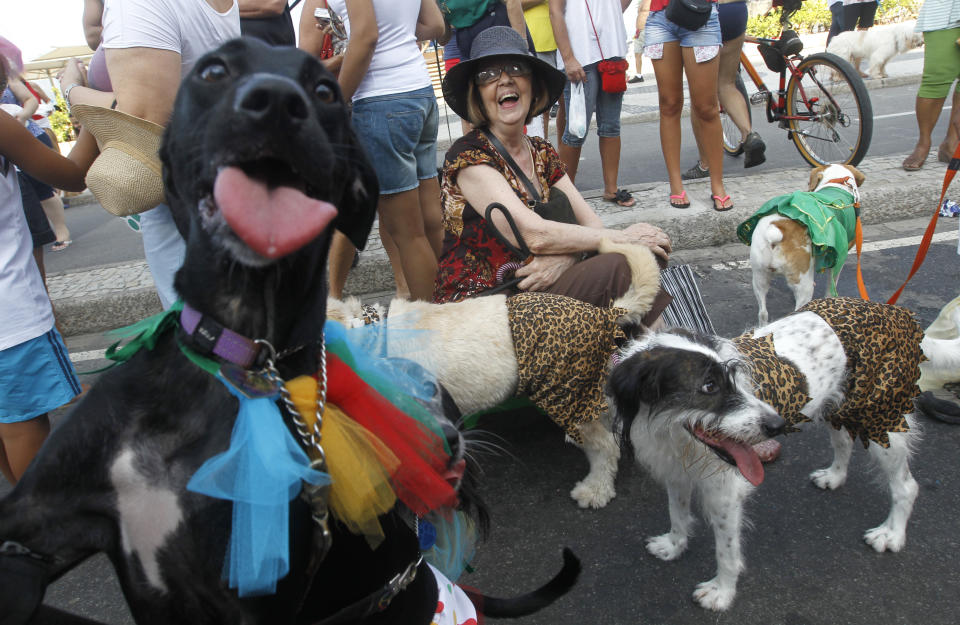 Disguised dogs attend the "Blocao" dog carnival parade as a woman laughs in Rio de Janeiro, Brazil, Sunday, Feb. 12, 2012. (AP Photo/Silvia Izquierdo)