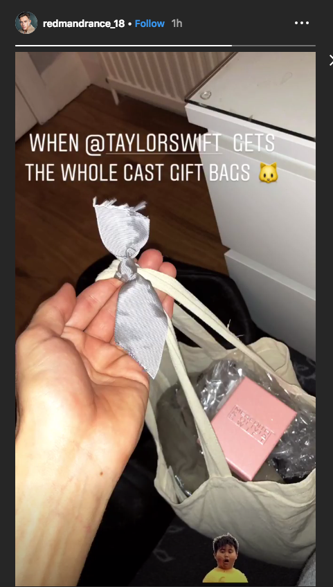 Taylor Swift Gift Bag