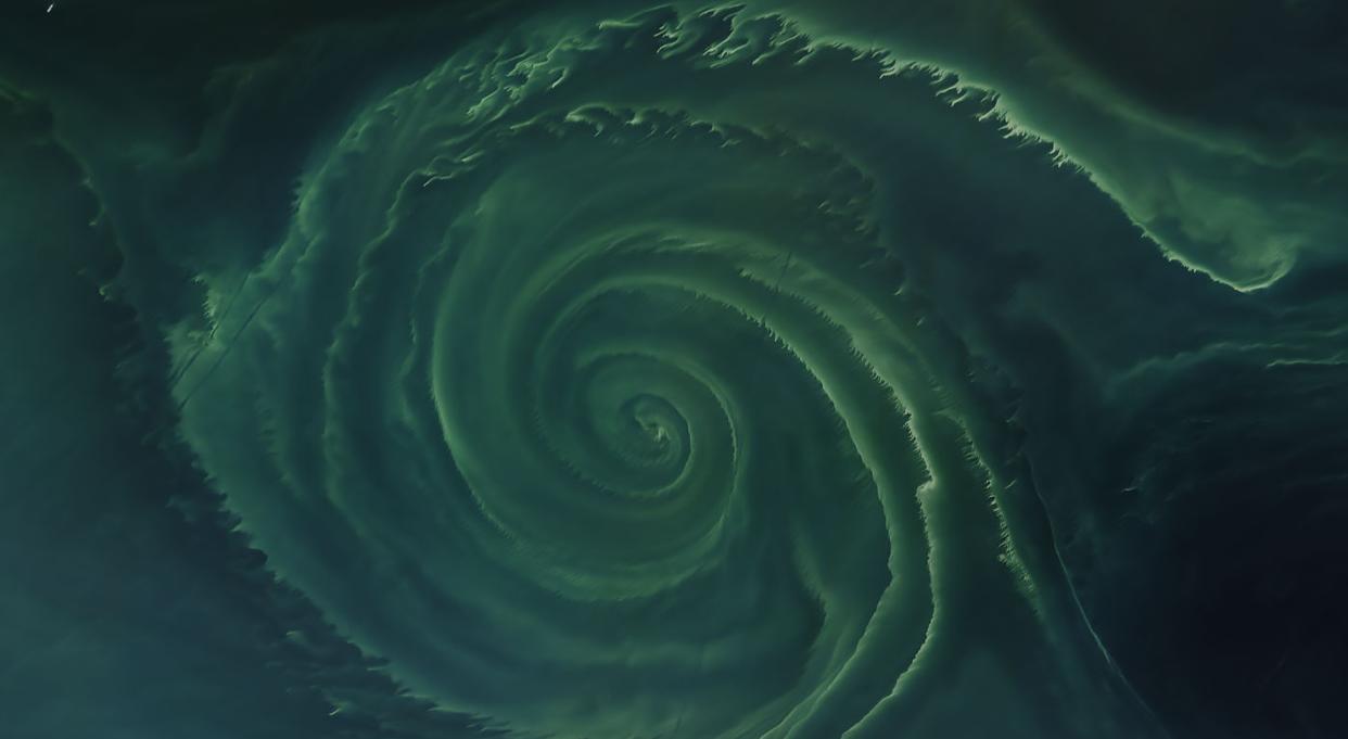 It was captured by the Operational Land Imager (OLI) on Landsat 8 (NASA)