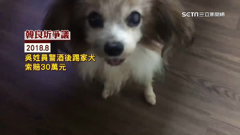 2018年韓良圻帶家犬去散步，卻被喝醉警踢了一腳要求賠30萬元。