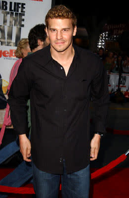 David Boreanaz at the Los Angeles premiere of 20th Century Fox's Dodgeball: A True Underdog Story