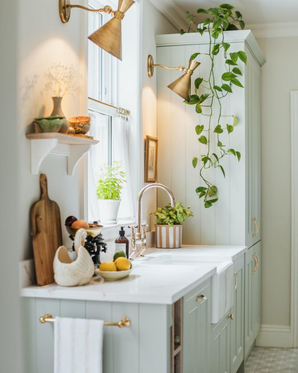 a bathroom with a sink and a plant on the wall