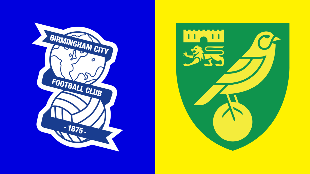 Birmingham v Norwich graphic