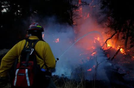 Firefighters battle a wildfire near Santa Rosa, California, U.S., October 14, 2017. REUTERS/Jim Urquhart