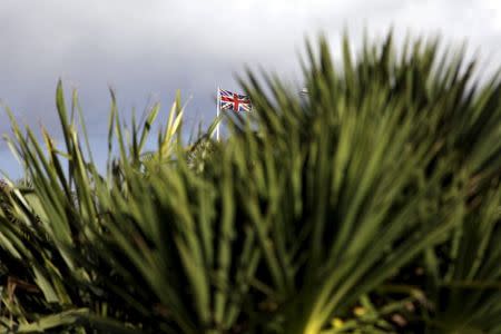 A Union flag is seen through palm trees near St Helier, Jersey in this November 11, 2012 file photo. REUTERS/Stefan Wermuth/Files