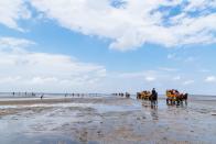 Der Nationalpark Hamburgisches Wattenmeer zählt seit 1992 zum UNESCO-Biosphärenreservat und ist seit 2011 als Teil des Wattenmeer-Weltnaturerbes ausgezeichnet. Viele Tagestouristen unternehmen im Nationalpark Führungen durch das Wattenmeer, reisen zur Insel Neuwerk oder nach Cuxhaven. Hier befindet sich auch das Wattenmeer-Besucherzentrum Cuxhaven mit Lehrpfaden und Ausstellungen zu Watt und Tieren der Region. (Bild: iStock/JJFarquitectos)