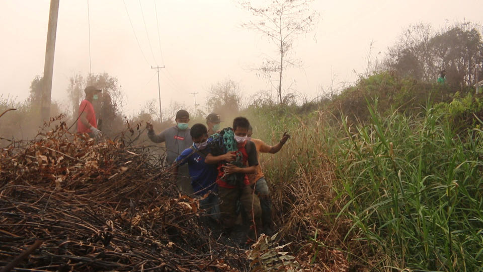 Orangutan rescue