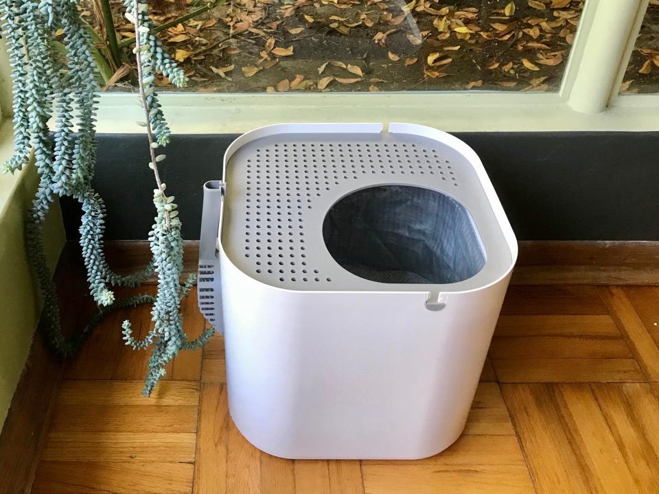 A white square Modkat XL Litter Box with a gray lid that has semi-round opening set on a wooden floor in front of a window.