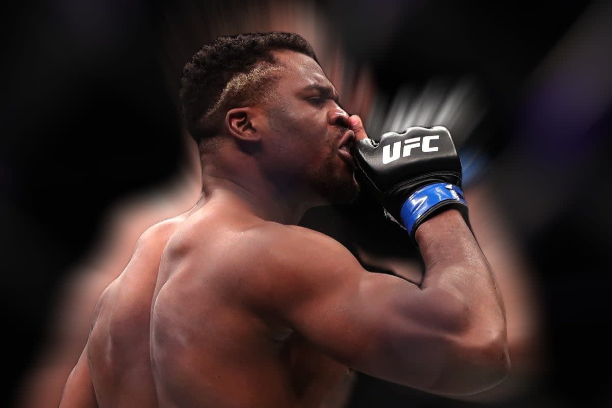 Ngannou during his devastating run-up to winning the UFC heavyweight title (Getty)