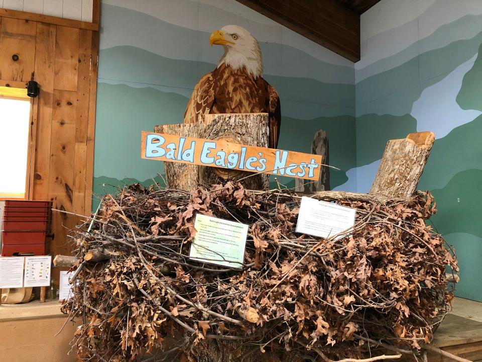 A full-size bald eagle's nest is on display at the Pocono Environmental Education Center.