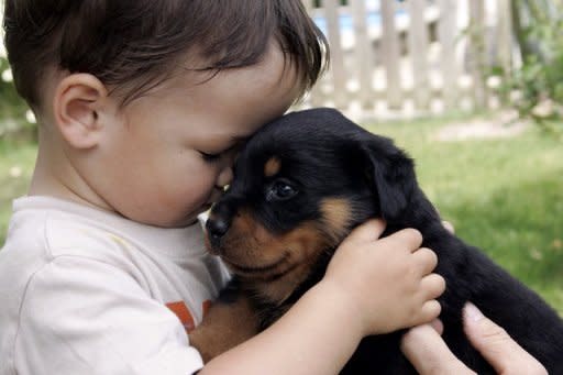 Babies who spend time around pet dogs have fewer ear infections and respiratory ailments than those whose homes are animal-free, said a study released on Monday