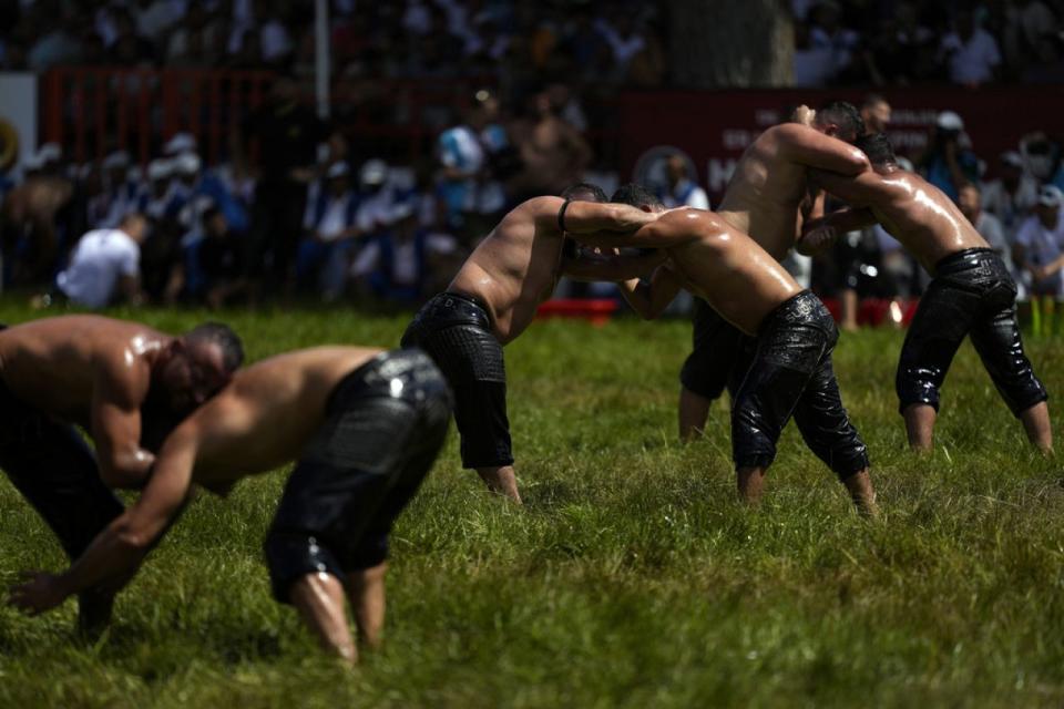 Wrestlers battle it out during the 663rd annual Historic Kirkpinar Oil Wrestling championship