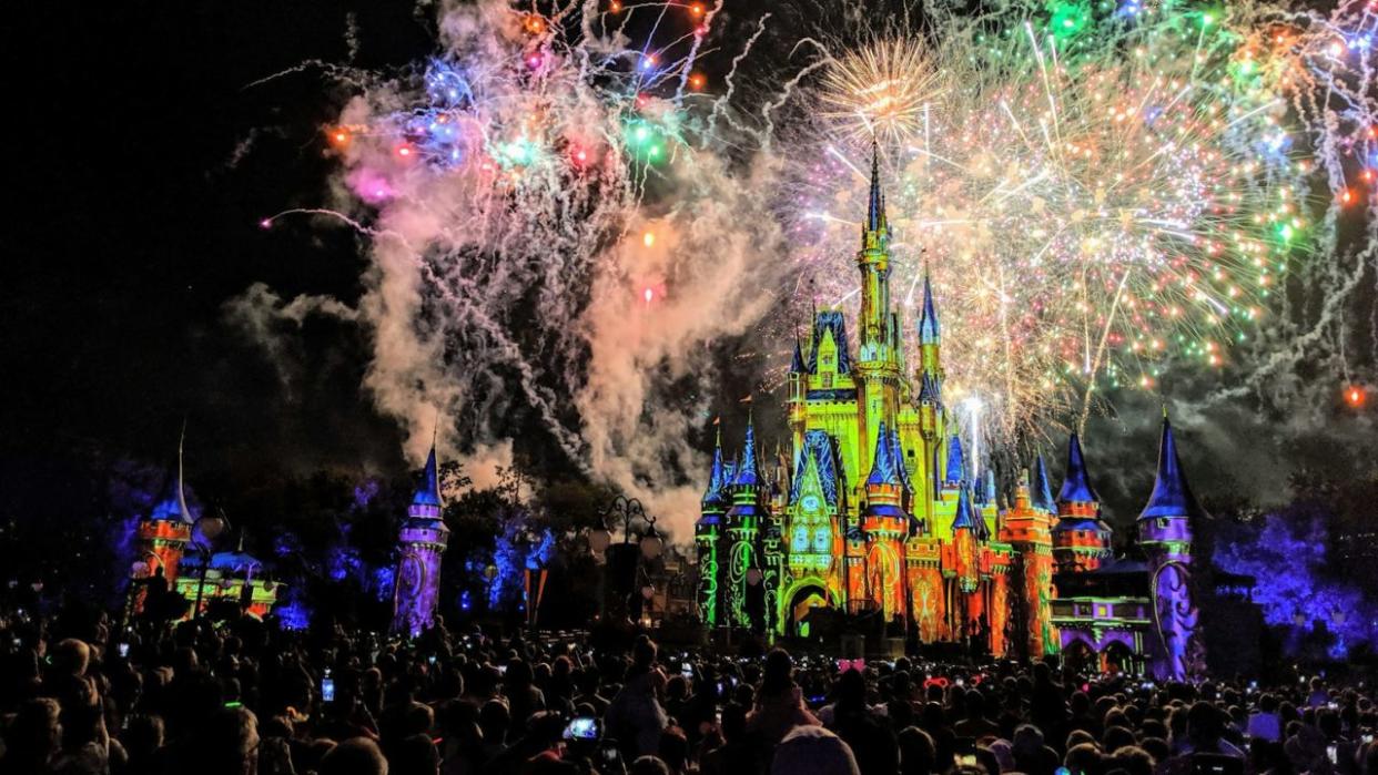 crowd of people gathered at Walt Disney World at night during fireworks display