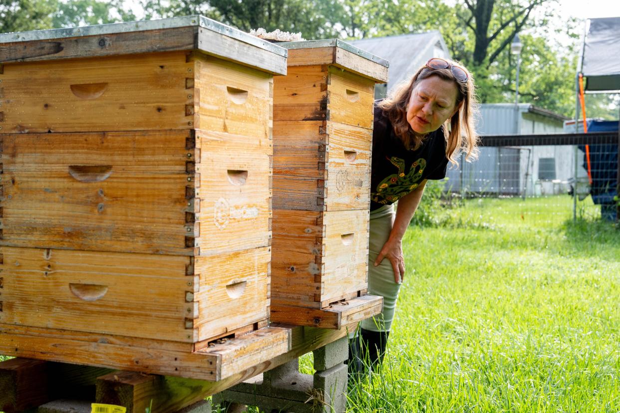 Paige Waggoner checks on her bee apiaries on Wednesday, May 8, 2024.