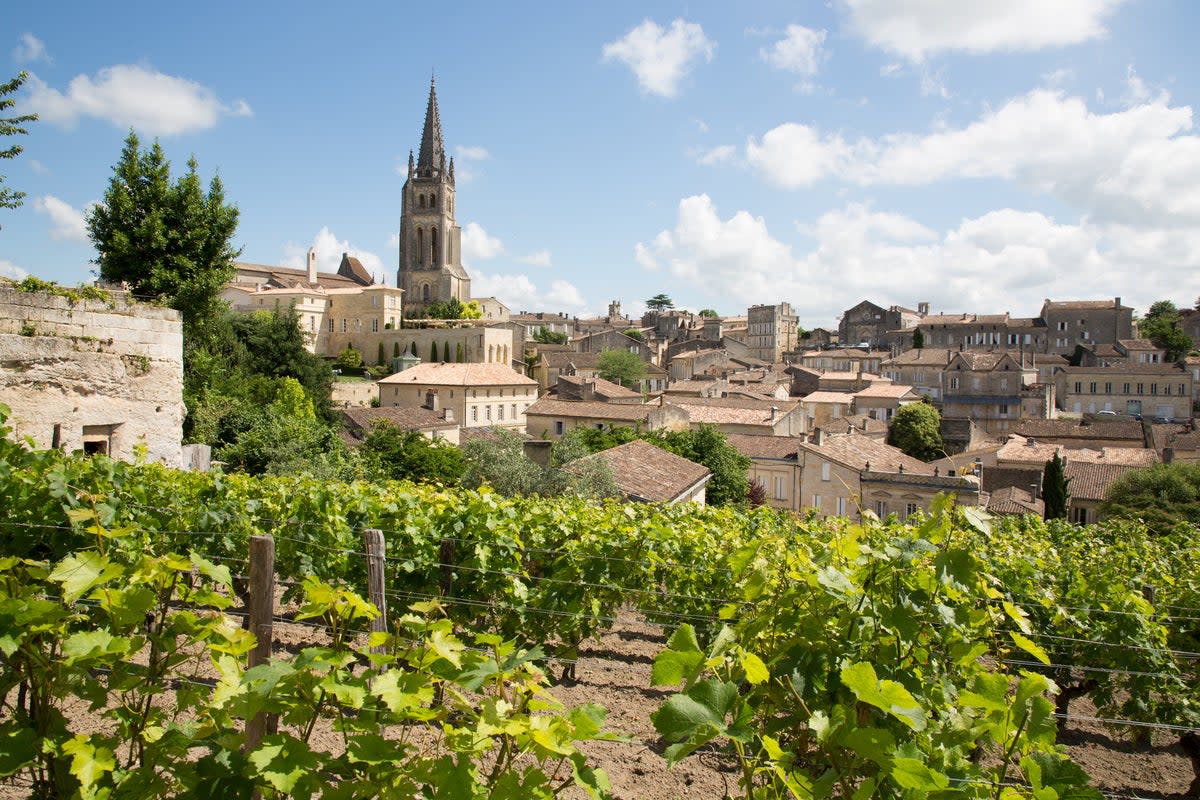 A view of Saint Emilion village, Bordeaux, from the vines (Getty Images/iStockphoto)