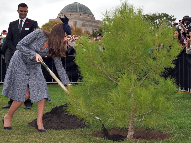 Herzogin Catherine pflanzt einen Baum. Foto: Mark Graham