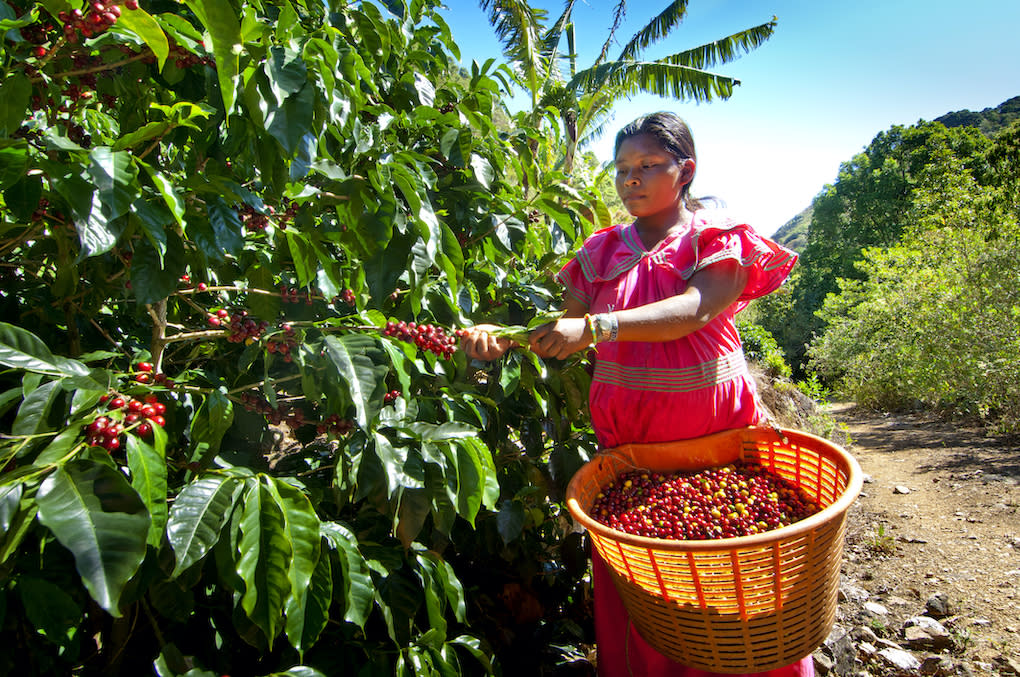 woman in Colombia on a farm - coffee farm tourism in Colombia