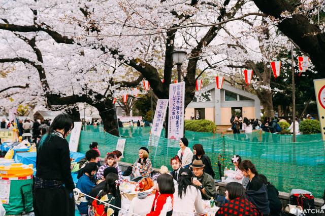 東京 只要600日圓 用 東京地鐵一日券 攻略賞櫻聖地11選 新聞 Yahoo奇摩行動版