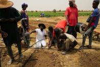 The Wider Image: Senegalese plant circular gardens in Green Wall defence against desert