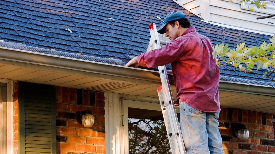 Man Cleaning Gutters on Ladder.