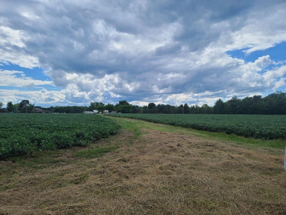 The Ohio Department of Agriculture's Agricultural Easement Purchase Program allows farm owners to permanently preserve farmland across the state.