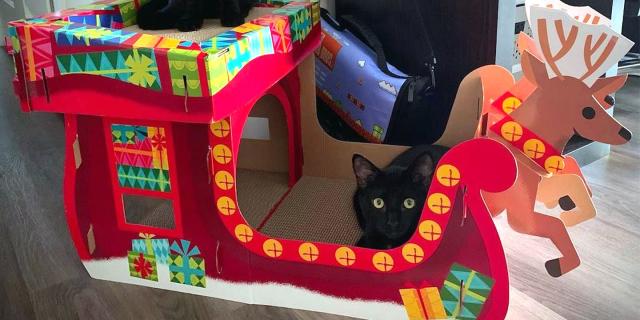 Cardboard christmas clearance cat house