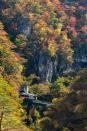 <p>Take in the changing leaves and crisp fall air on a relaxing <a href="https://www.countryliving.com/life/travel/g4742/fall-foliage-train-rides/" rel="nofollow noopener" target="_blank" data-ylk="slk:fall foliage train trip;elm:context_link;itc:0;sec:content-canvas" class="link ">fall foliage train trip</a>. There are several across the country that are perfect for fun day trips and family excursions. </p>