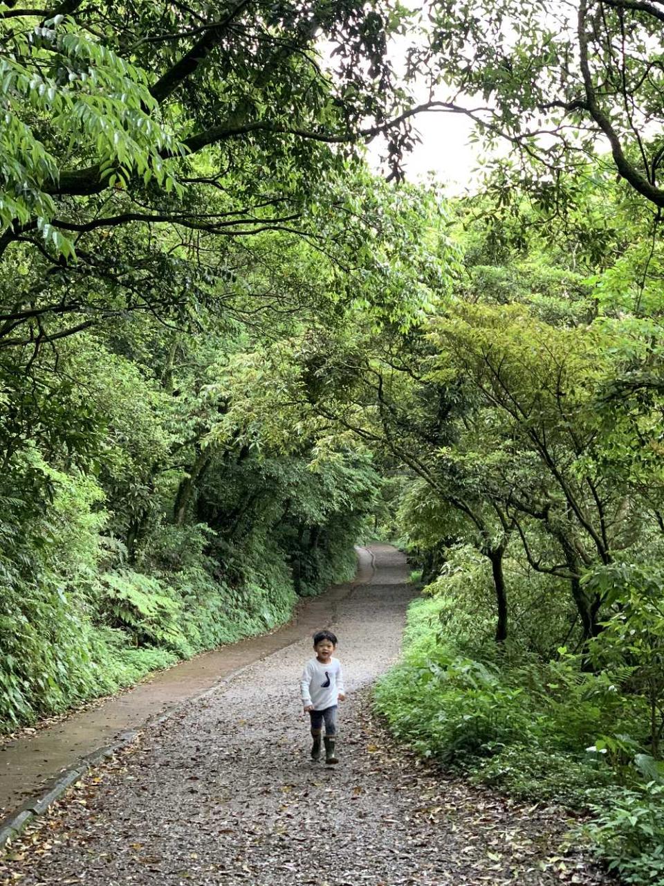 台北後花園「陽明山」半日遊