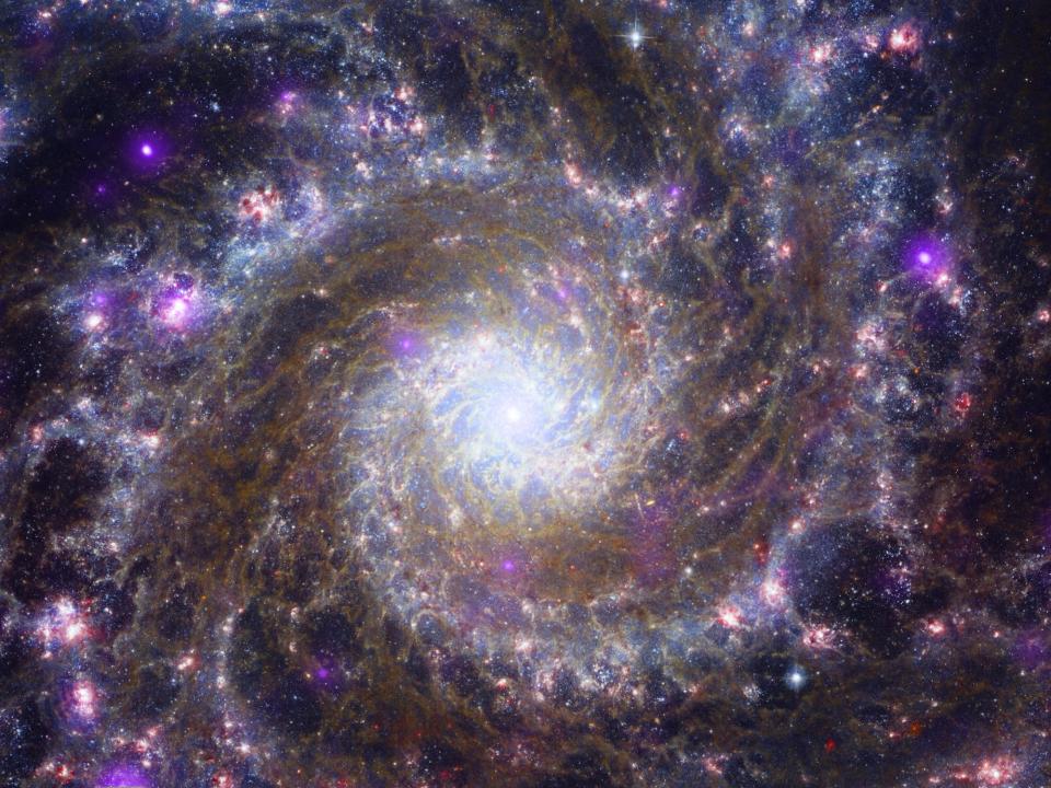 galaxy with spiraling arms of purple and blue dust with bright purple stars leading to a bright white and yellow center