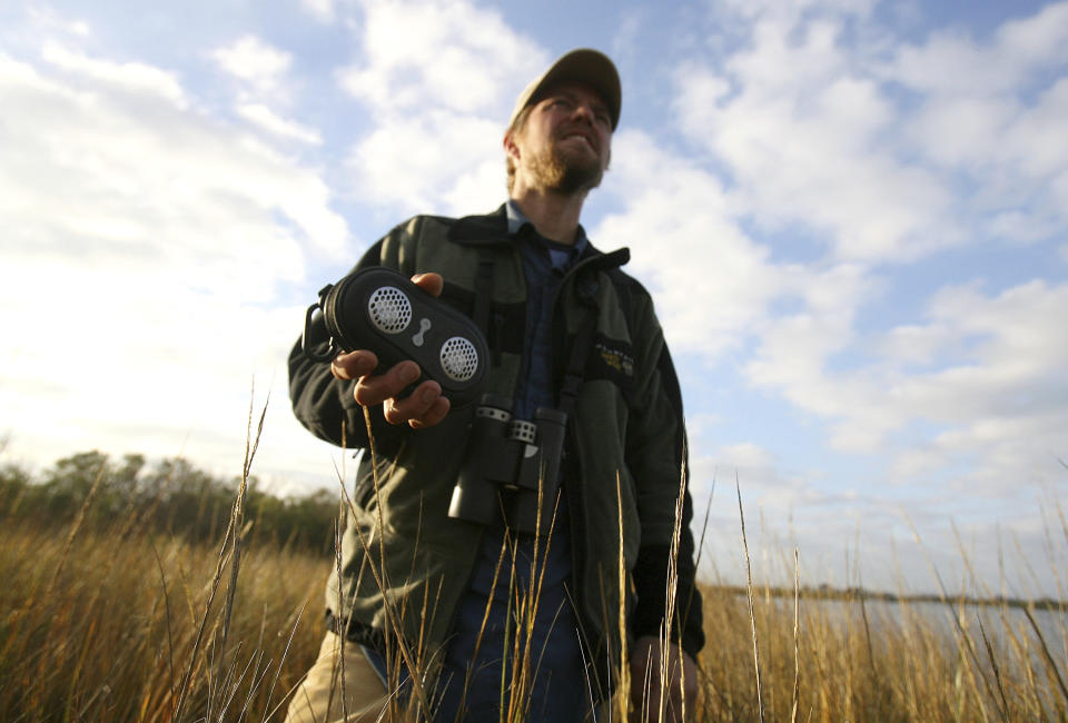 FILE - In this Dec. 22, 2010, file photo, Hans Holbrook, of LaPlace, La., stands in the marsh while holding up a speaker playing bird songs as he looks for birds during the National Audubon Society's annual Christmas bird count on the Gulf Coast in Grand Isle, La. It's been 120 years since New York ornithologist Frank Chapman launched his Christmas Bird Count as a bold new alternative to what had been a longtime Christmas tradition of hunting birds. And the annual count continues, stronger and more important than ever. (AP Photo/Sean Gardner, File)