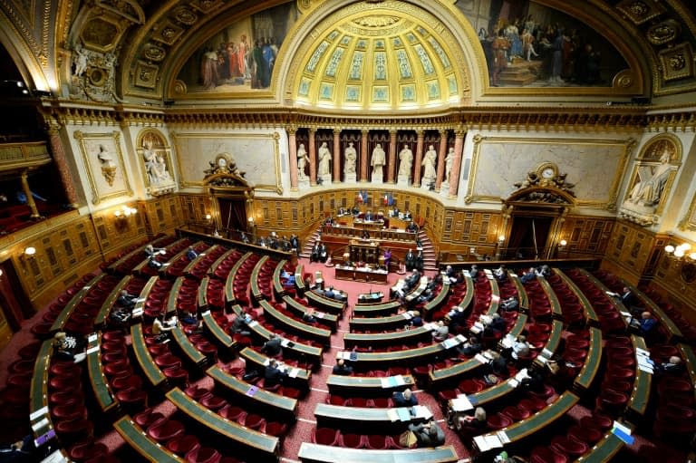 L'hémicycle du Sénat.  - BERTRAND GUAY © 2019 AFP