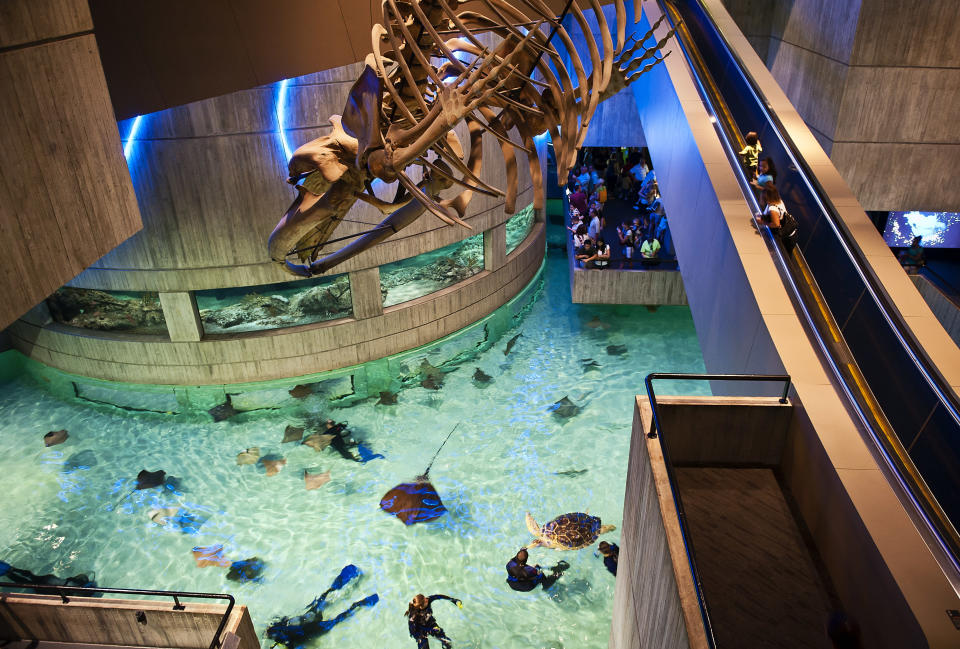 National Aquarium in Baltimore, Maryland