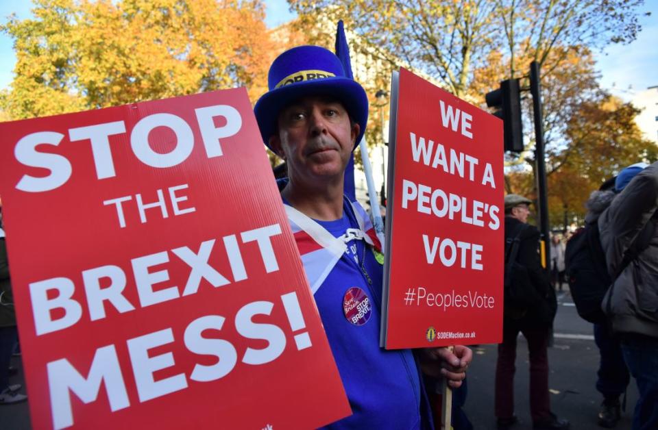 Pro-EU demonstrators in Westminster this week (PA)